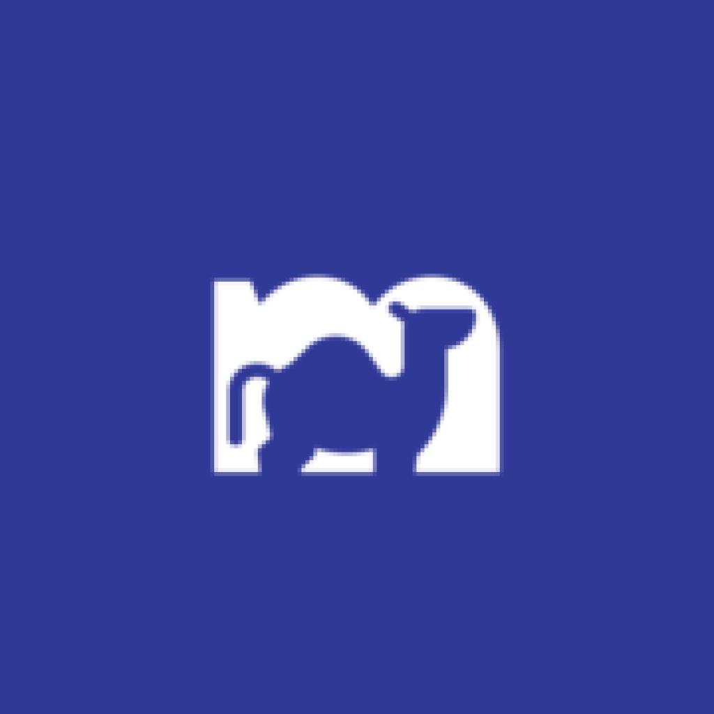 Logo agence CAMELSOFT LLC