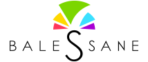 Logo agence Balessane