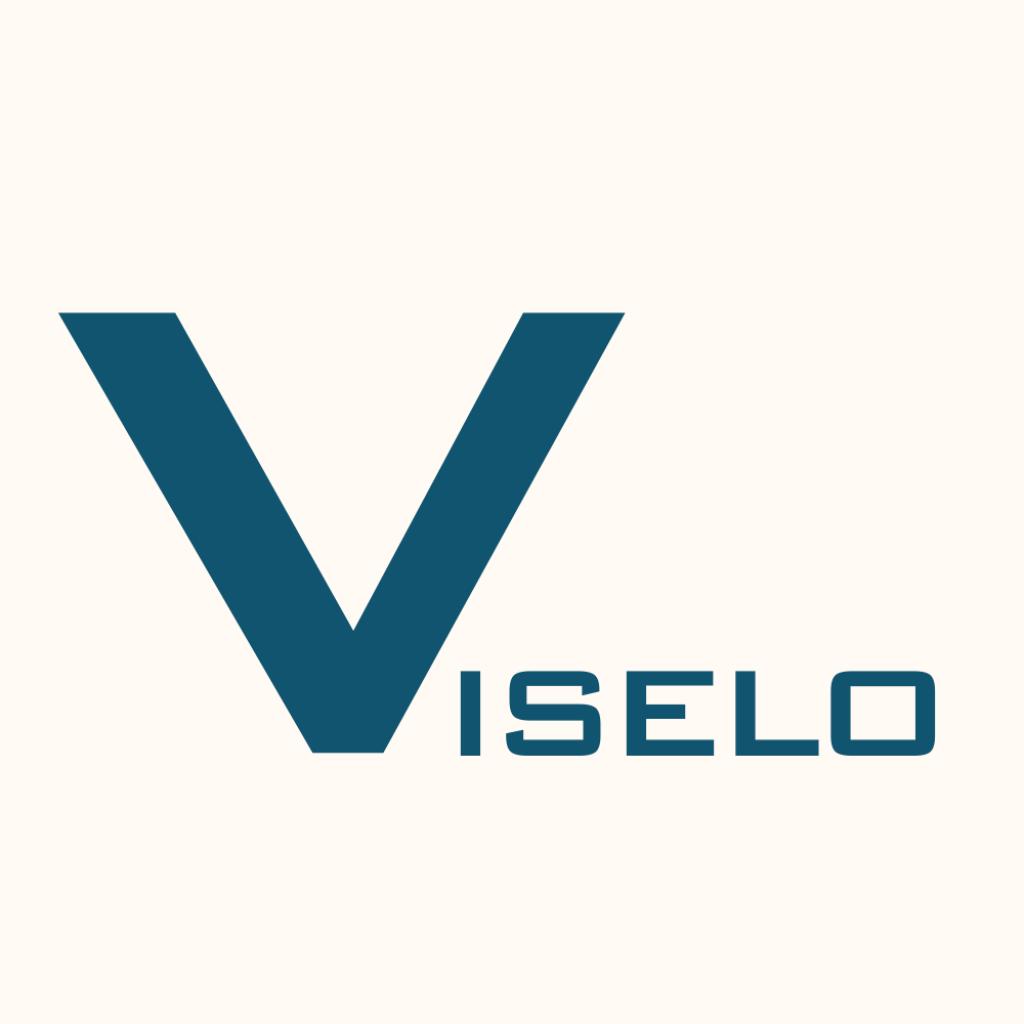 Logo agence Viselo