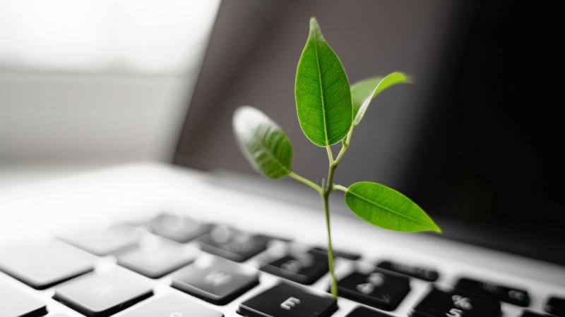 Créer un site web éco-conçu : 6 leviers concrets + des retours d’agences