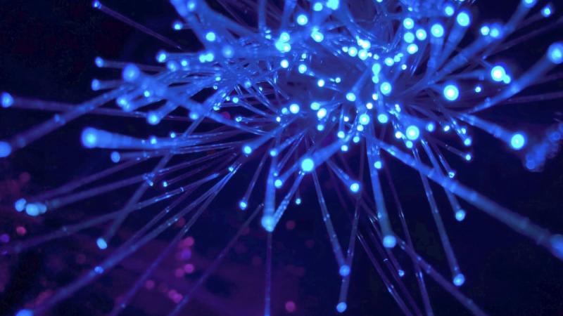 Campagne de netlinking : 3 étapes pour la réussir !