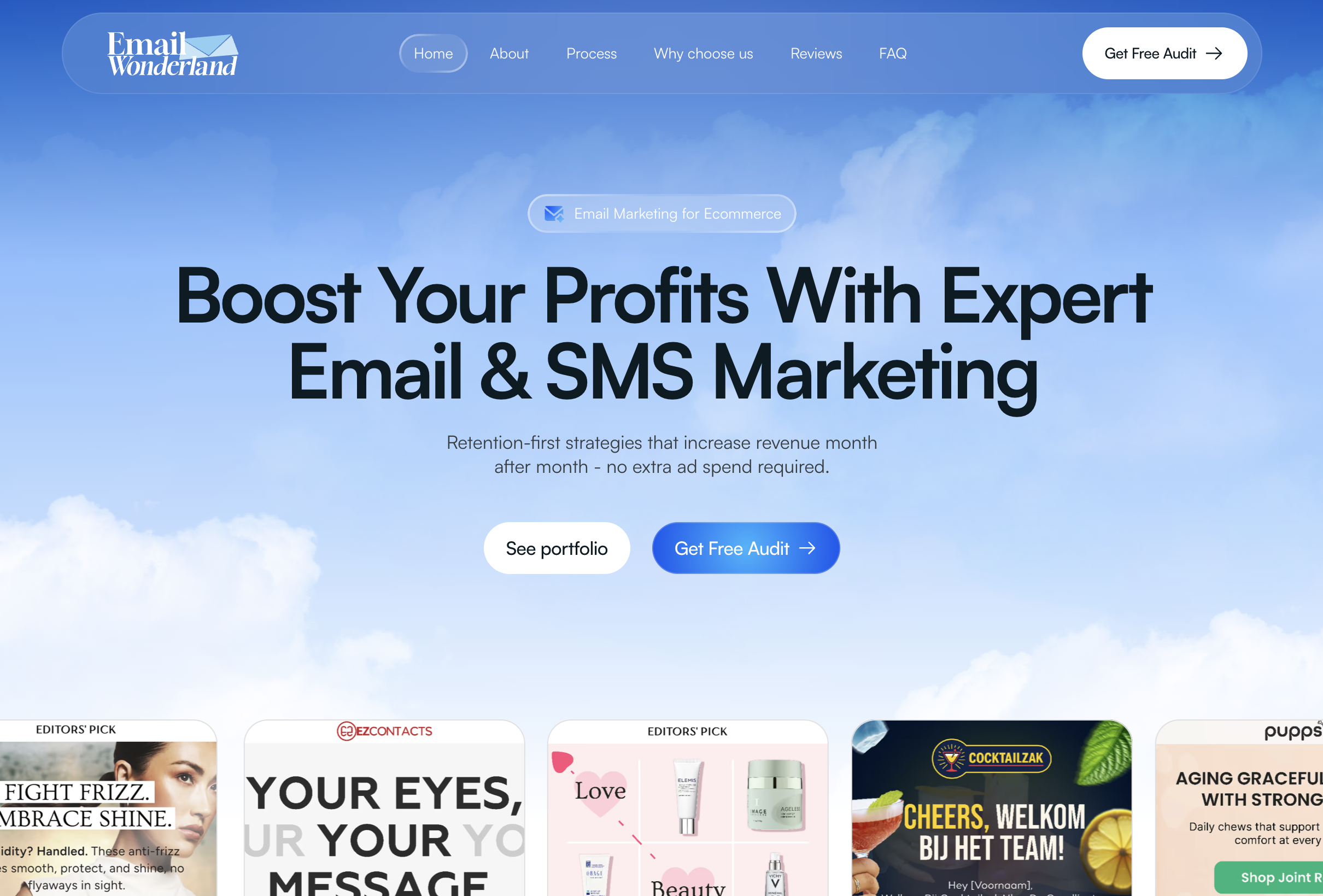 Illustration du projet Email Wonderland website | UI/UX Design