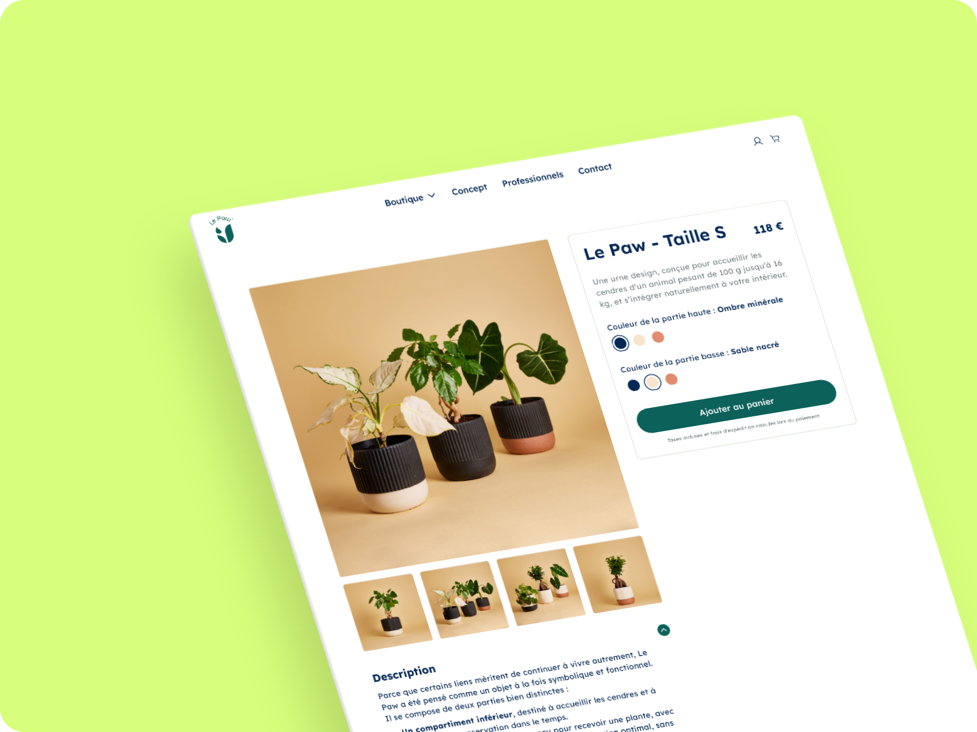 Illustration du projet Création d’un site e-commerce pour le Paw