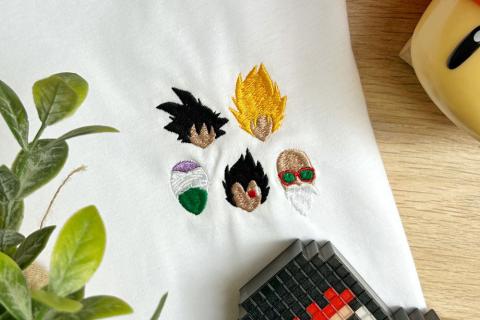 Illustration du projet