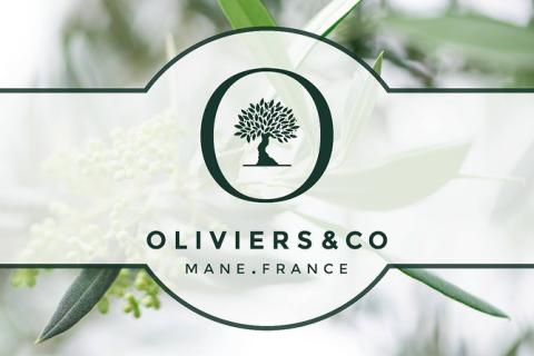 Illustration du projet