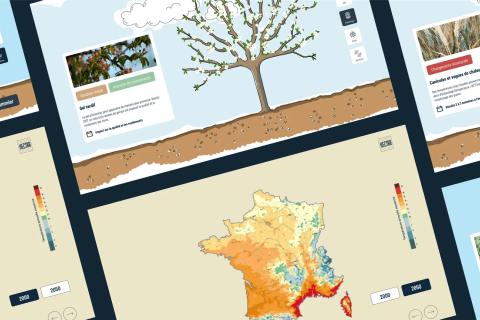 Illustration du projet