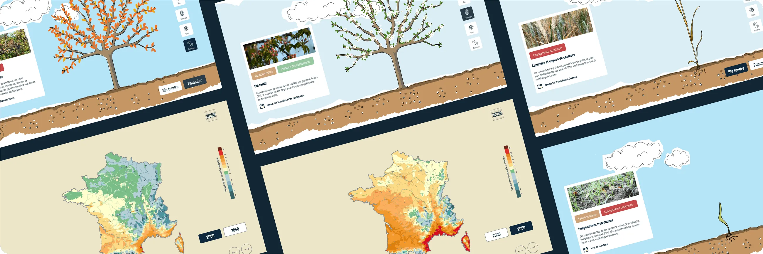 Illustration du projet Simulateur pour Demo Center - Figma, Bubble.io