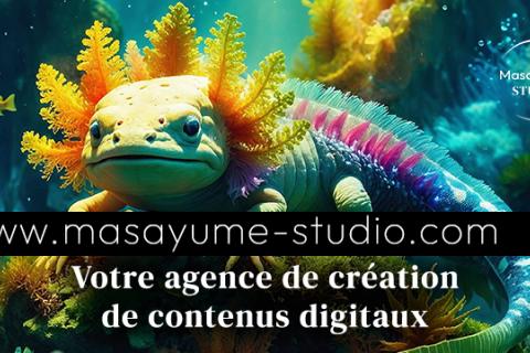 Illustration du projet