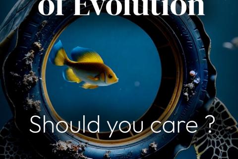 Illustration du projet