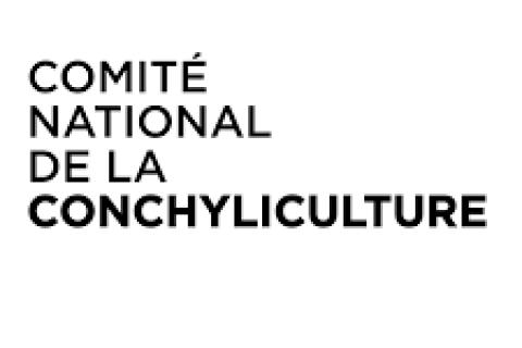 Illustration du projet