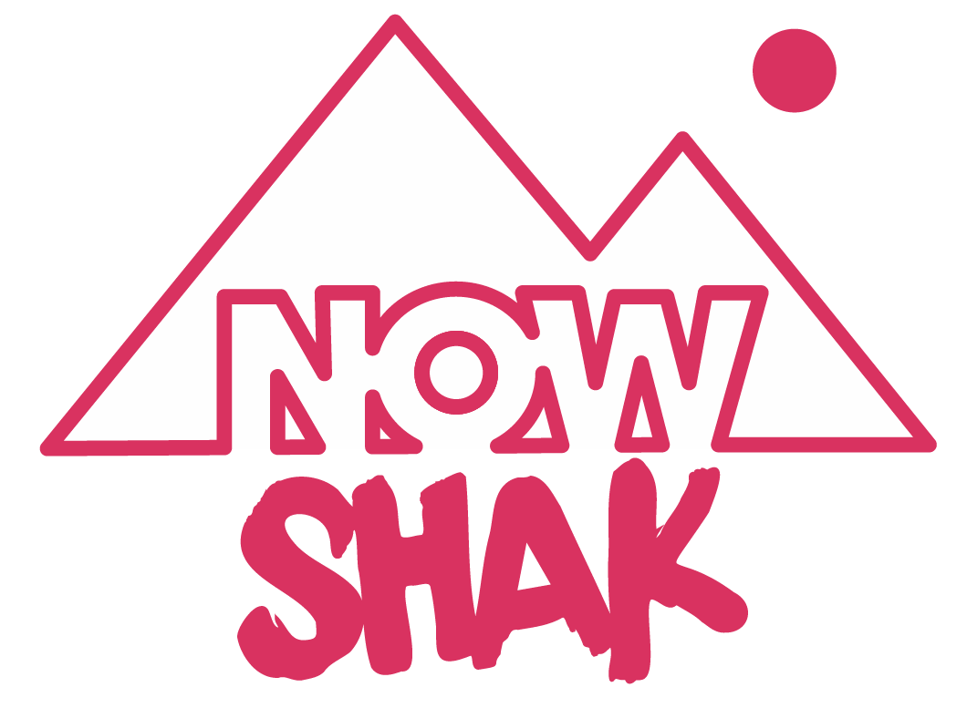 Logo agence Nowshak - Agile experience