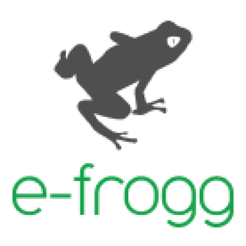 Logo agence e-Frogg