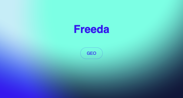 Illustration du projet Développer la visibilité internationale de Freeda grâce au GEO