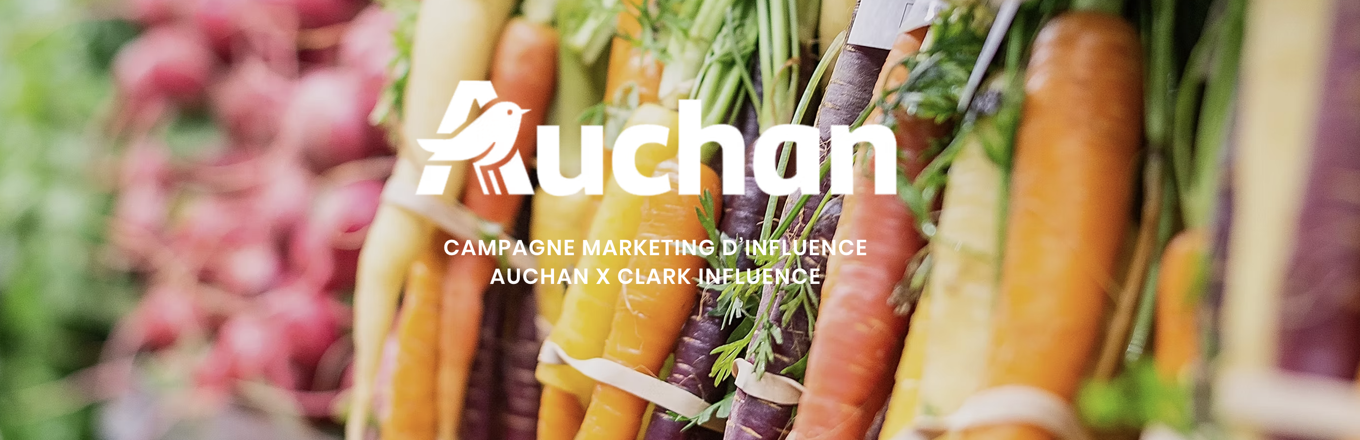 Illustration du projet Auchan - Accompagnement annuel en influence
