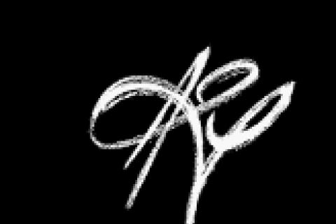 Illustration du projet