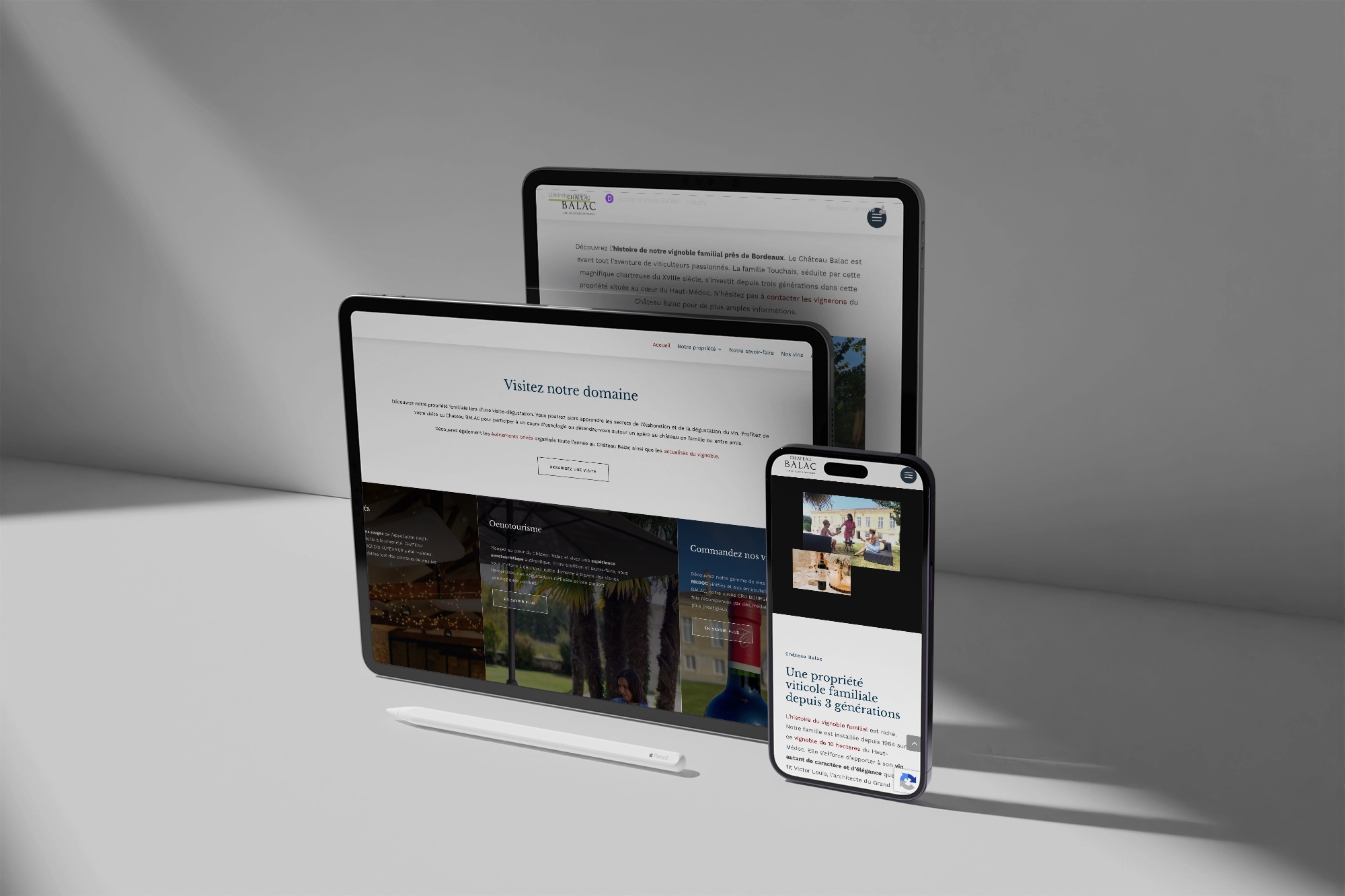 Illustration du projet Site internet vitrine pour Château Balac