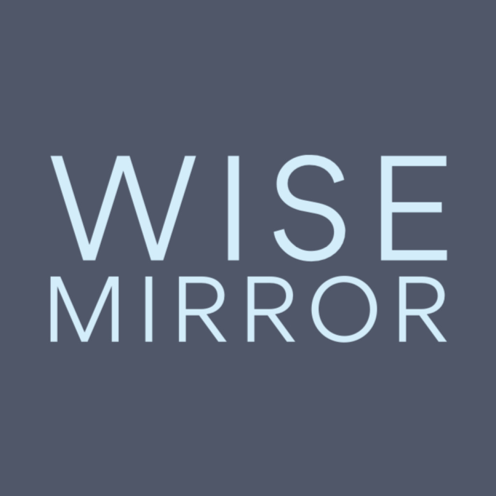 Logo agence WISE MIRROR
