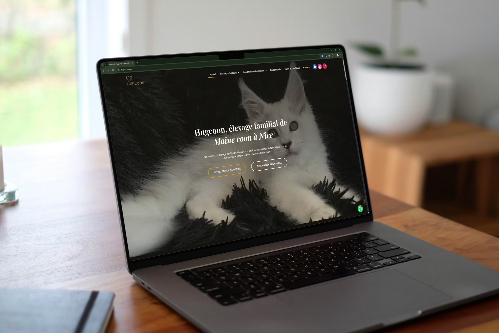 Illustration du projet Site vitrine et SEO local pour un élevage de Maine Coon à Nice