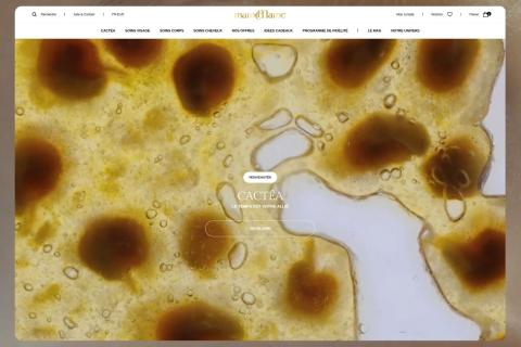 Illustration du projet