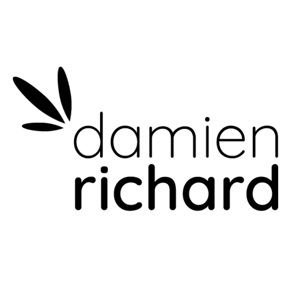 Logo agence Damien Richard