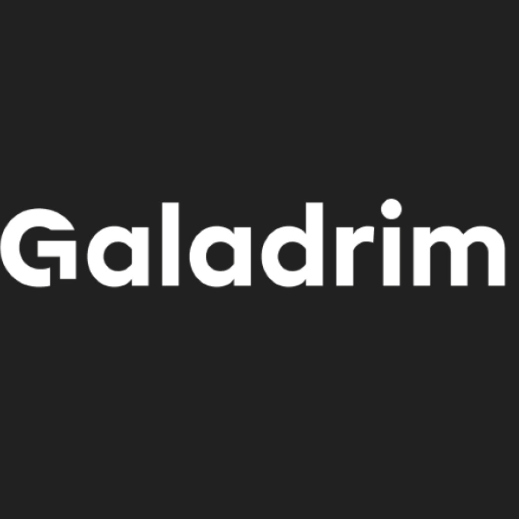 Logo agence Galadrim