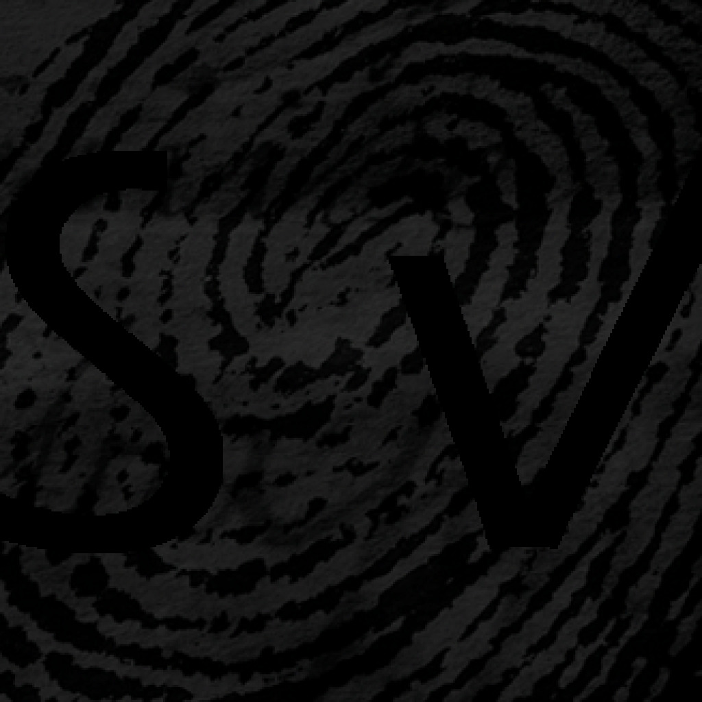 Logo agence SV Design