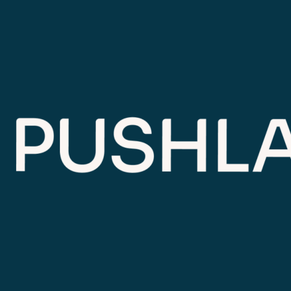 Logo agence Pushlab