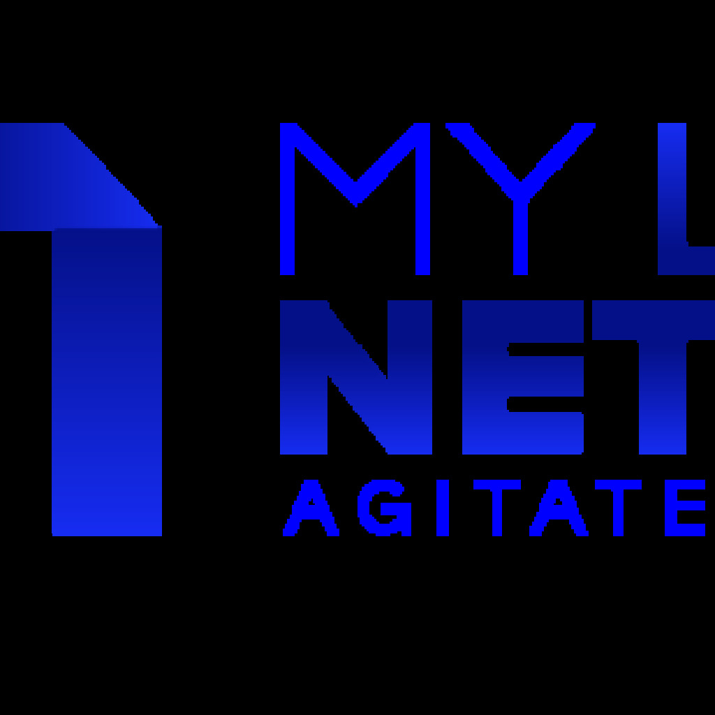 Logo agence MLN France (MY Little Network)