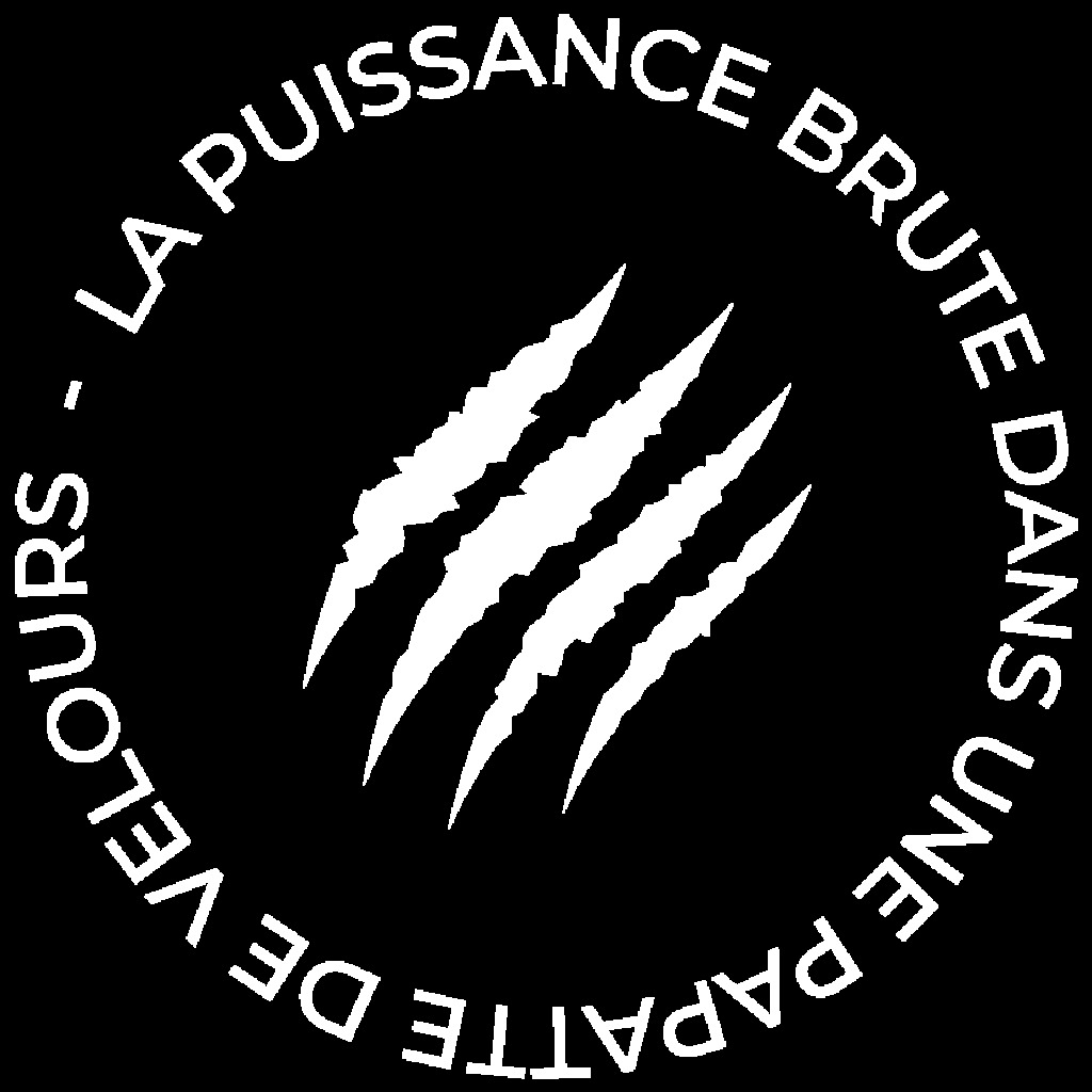 Logo agence Grizzli