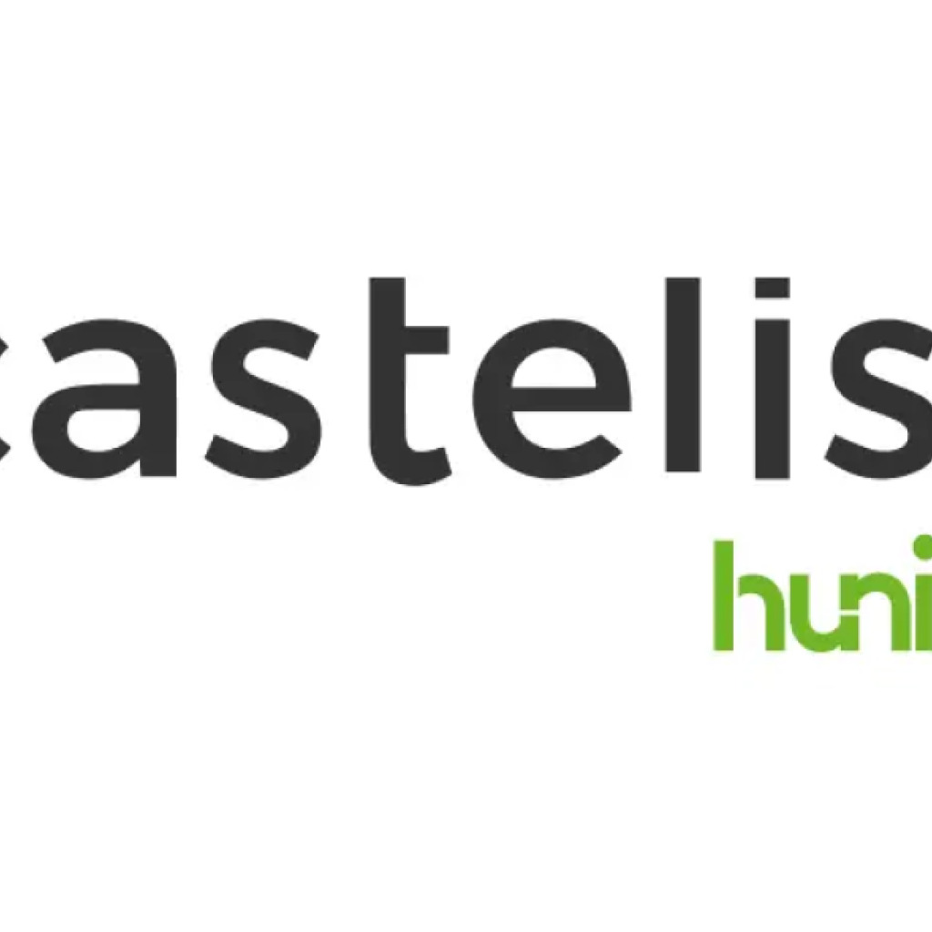 Logo agence Castelis