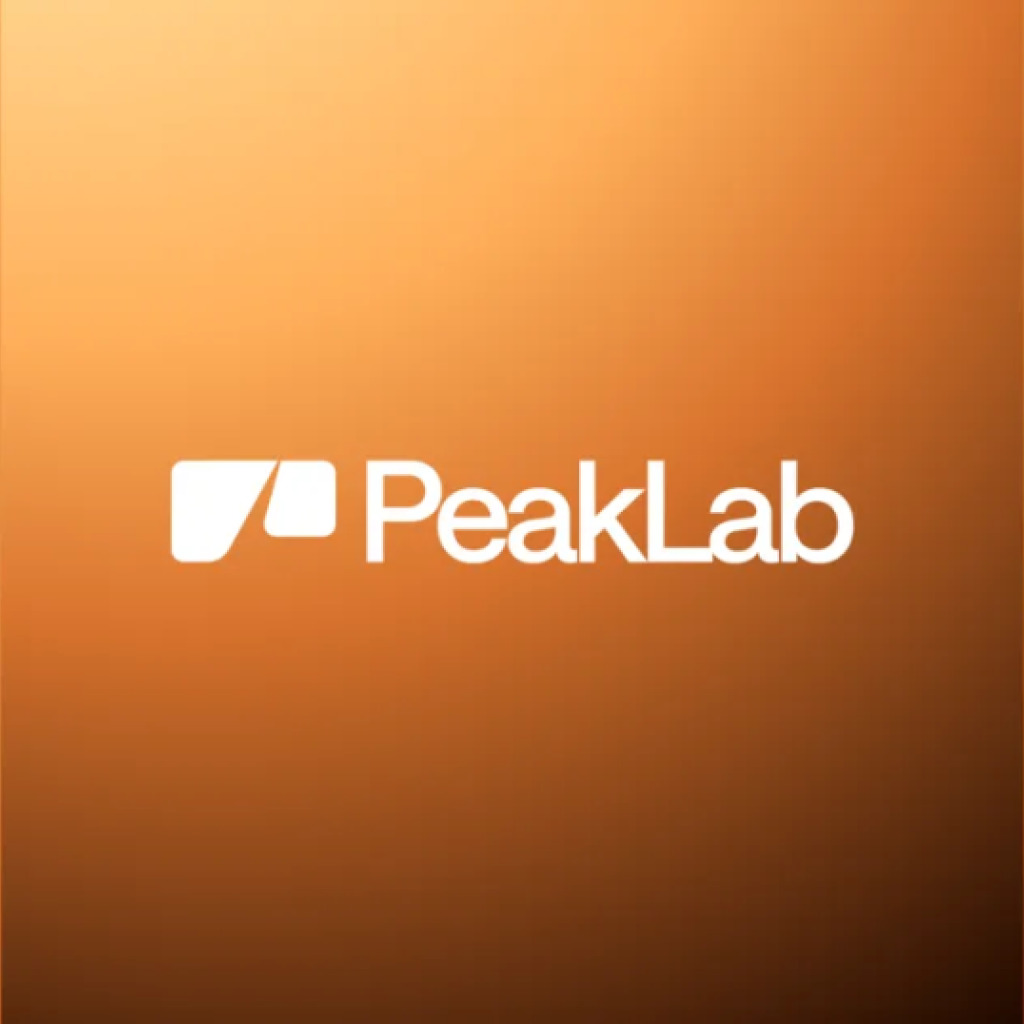 Logo agence PeakLab