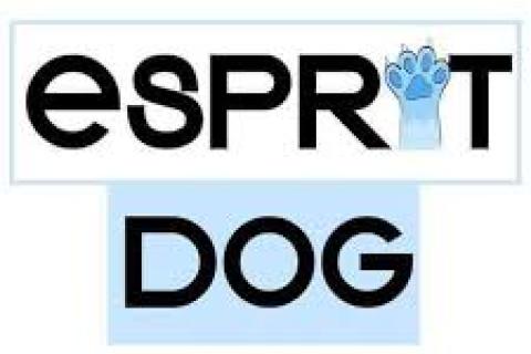 Illustration du projet