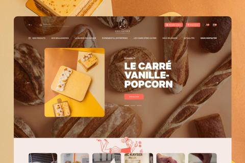 Illustration du projet