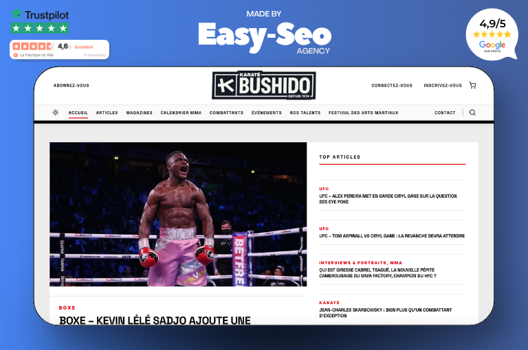 Illustration du projet Audit SEO du balisage et des ancres de liens pour Karaté Bushido