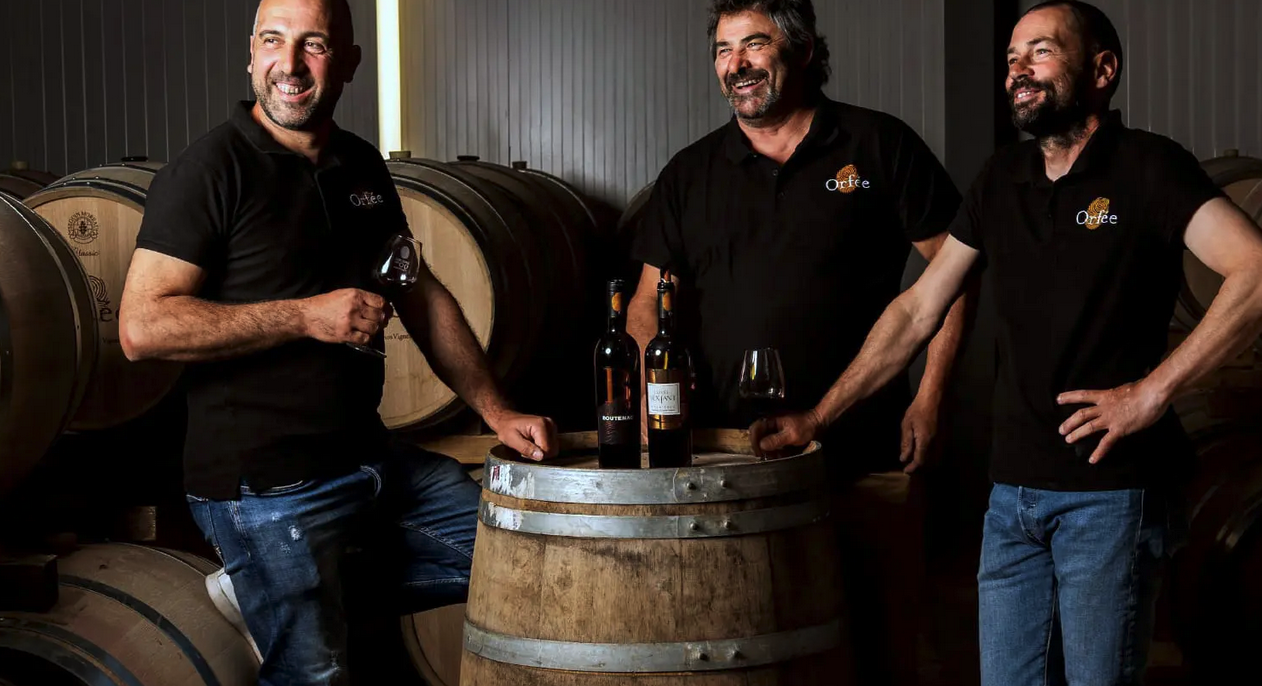 Illustration du projet Celliers d’Orfée – Communication & marketing multicanal