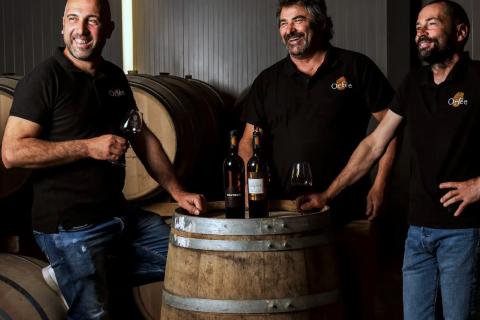 Illustration du projet