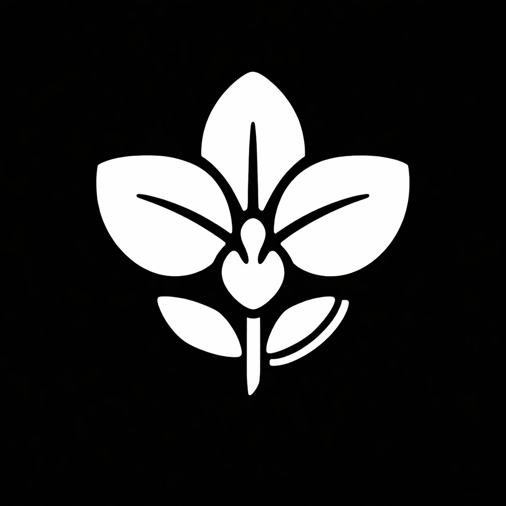 Logo agence OkidoCorp