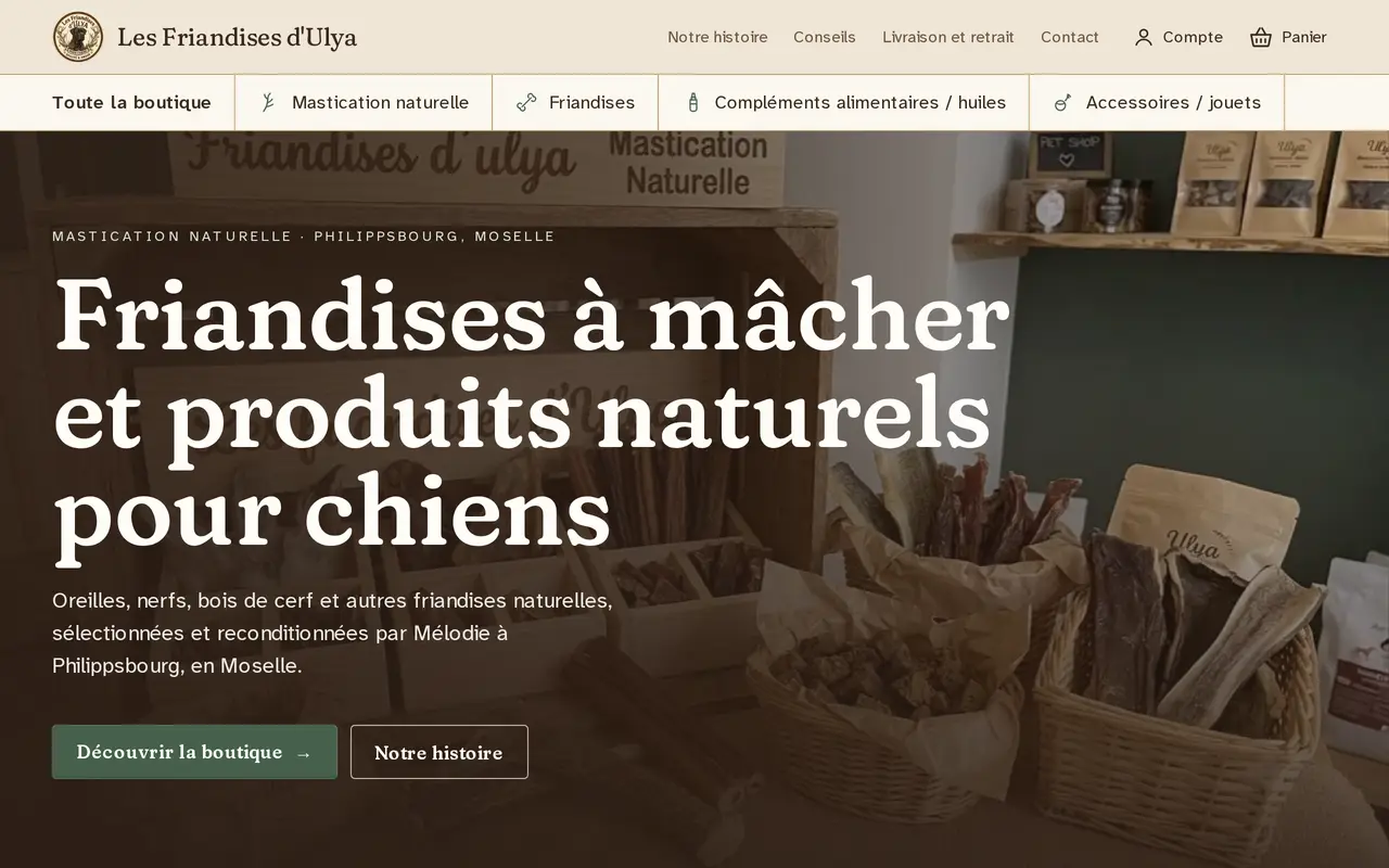 Illustration du projet Boutique en ligne de friandises naturelles pour chiens