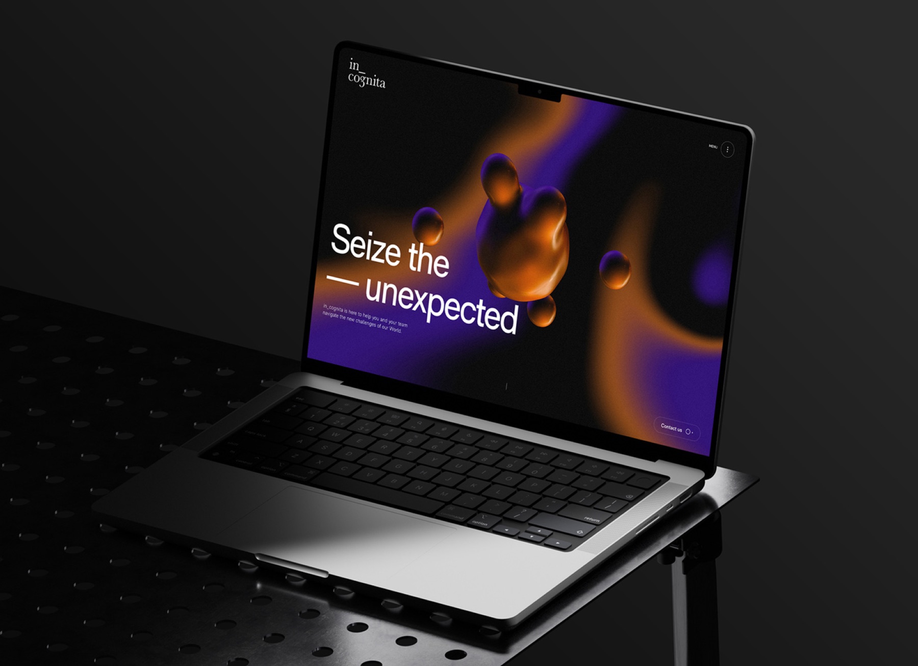 Illustration du projet In_Cognita : Seize the unexpected, the invisible made visible