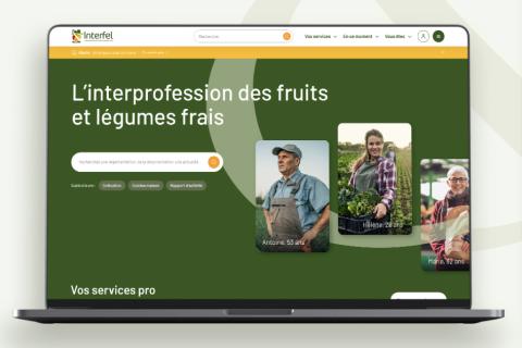 Illustration du projet