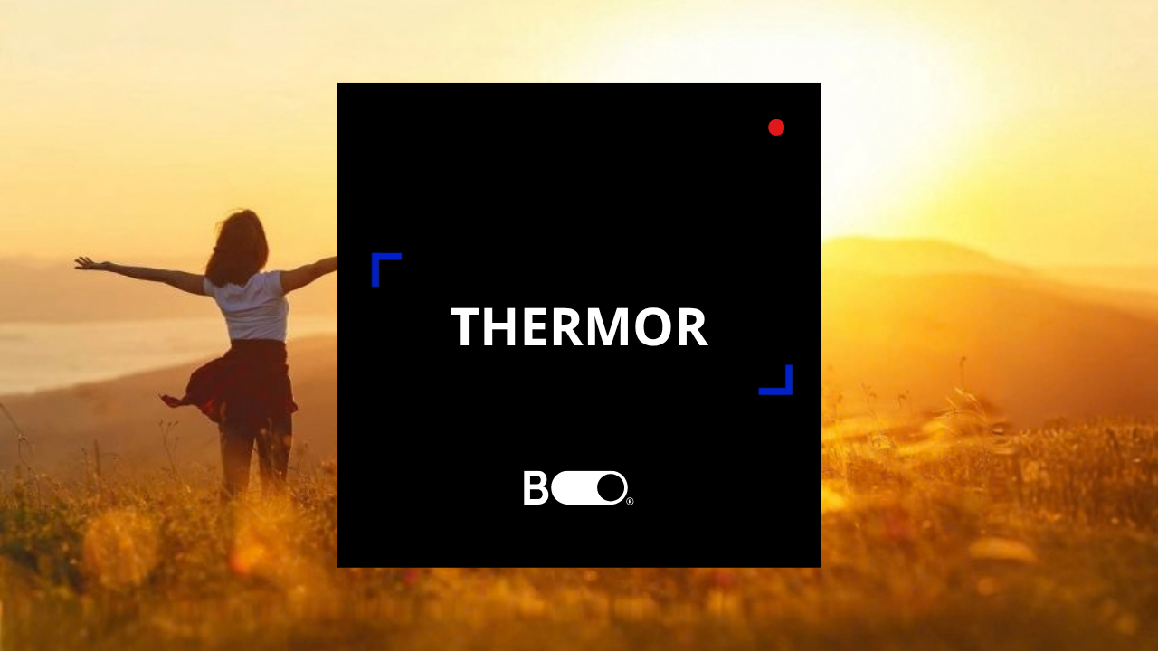 Illustration du projet Identité sonore pour THERMOR (Groupe ATLANTIC)