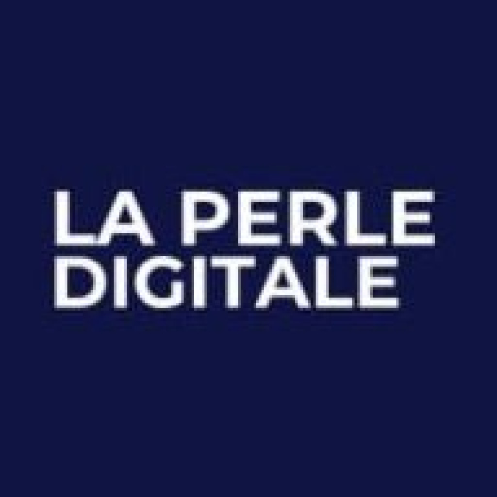 Logo agence La Perle Digitale