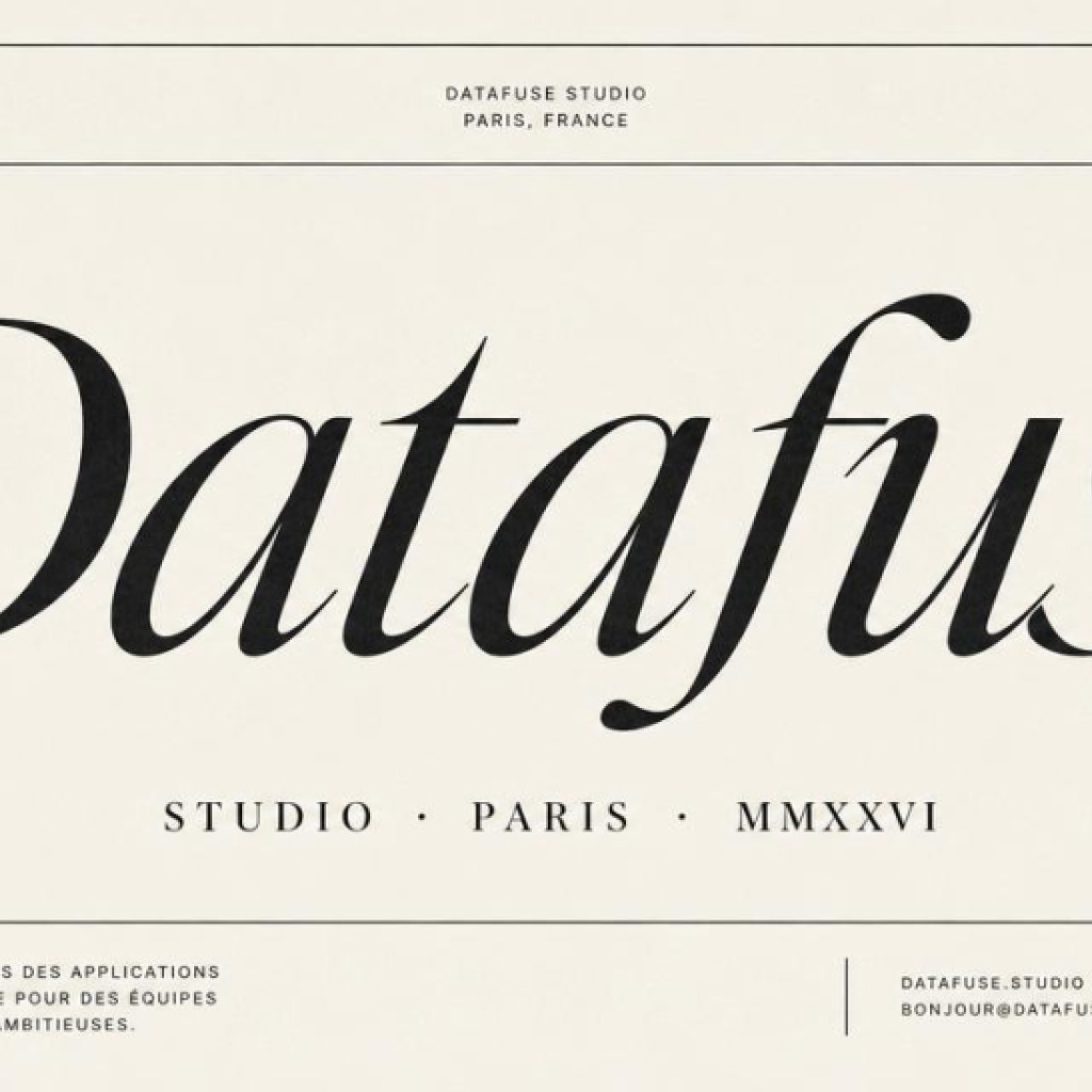Logo agence Datafuse Studio