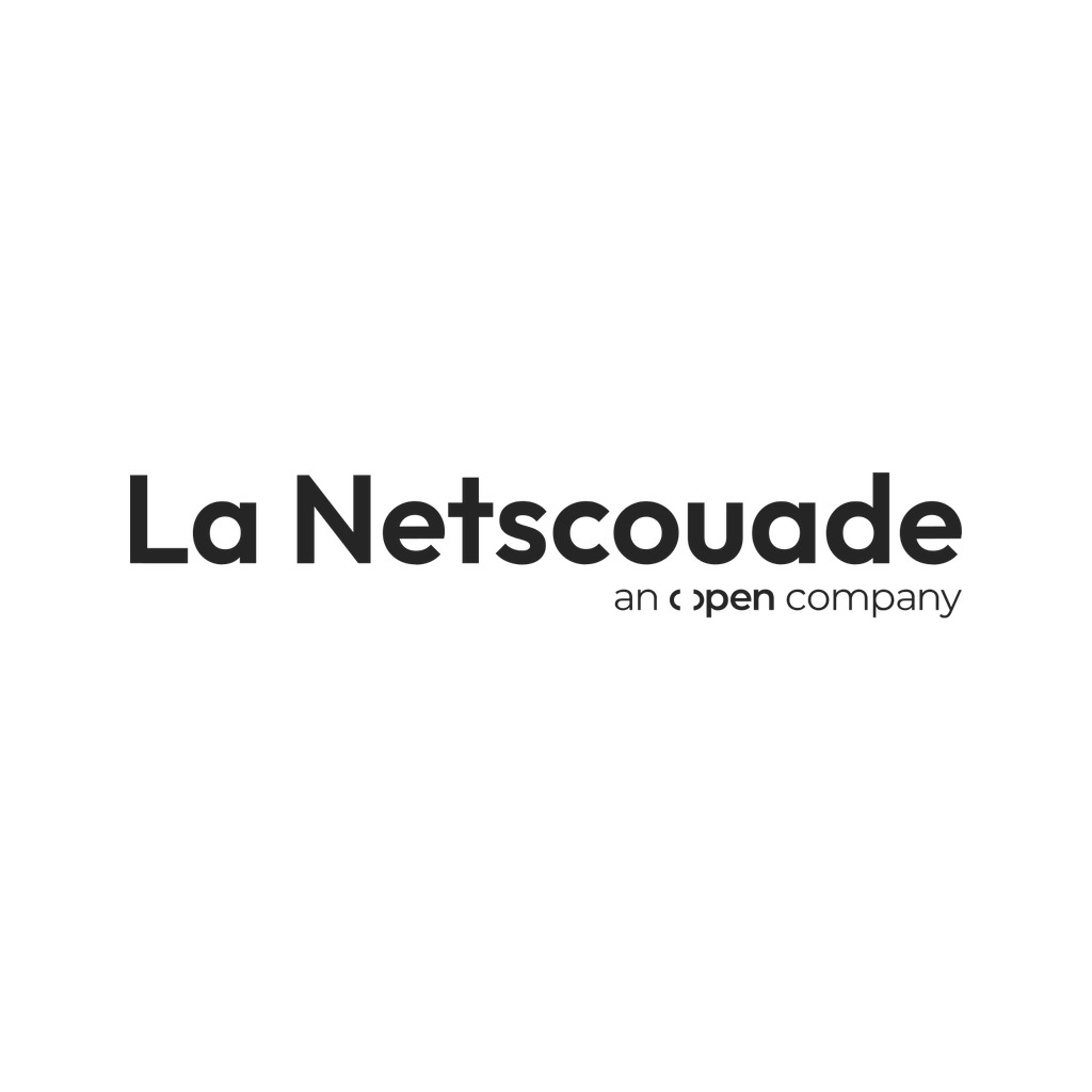 Logo agence La Netscouade