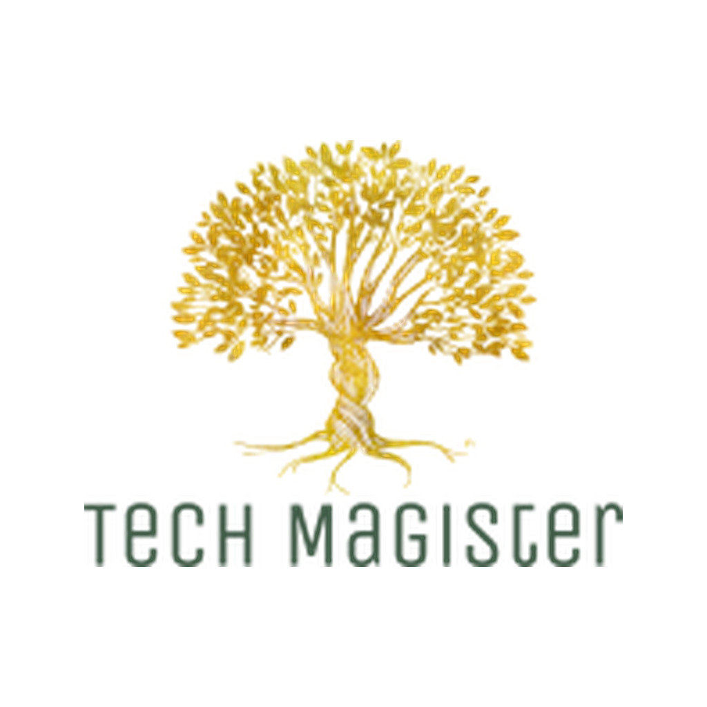 Logo agence Tech Magister