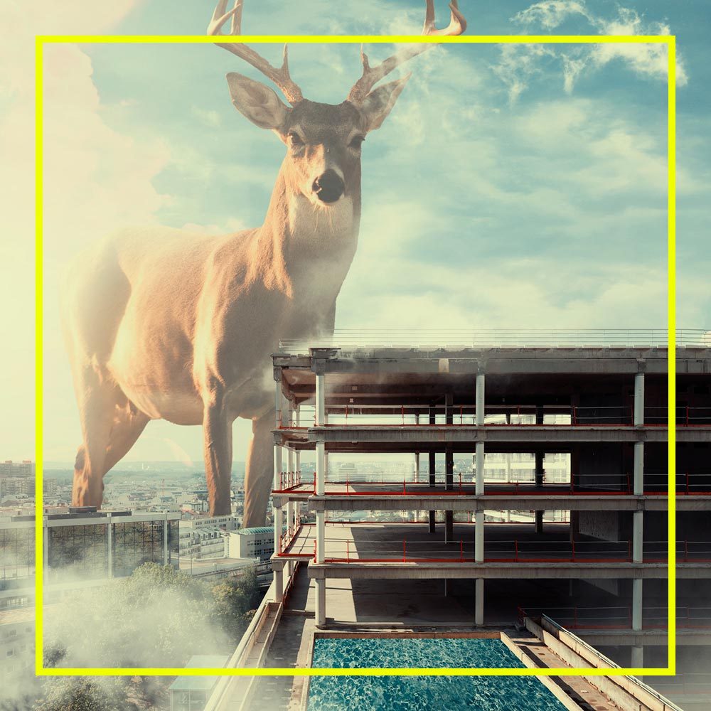 Illustration du projet Altiplano – branding d'un immeuble de bureaux à La Défense