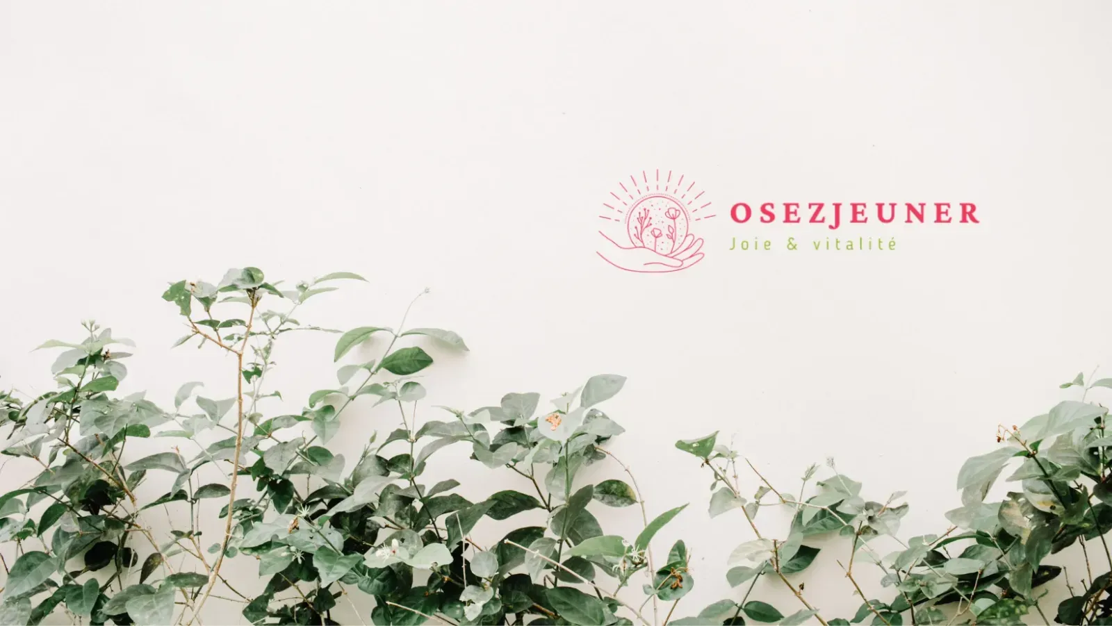 Illustration du projet Refonte complète - Osez Jeûner