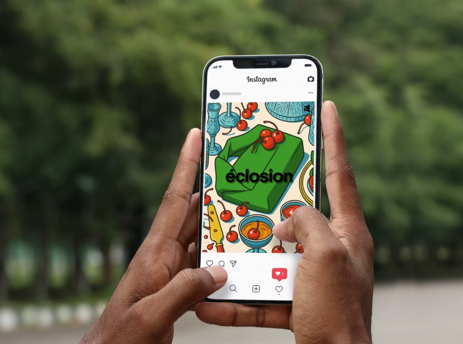 Illustration du projet (PROJET FICTIF) Eclosion