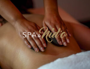 Illustration du projet Refonte du site SPA LE NID'Ô