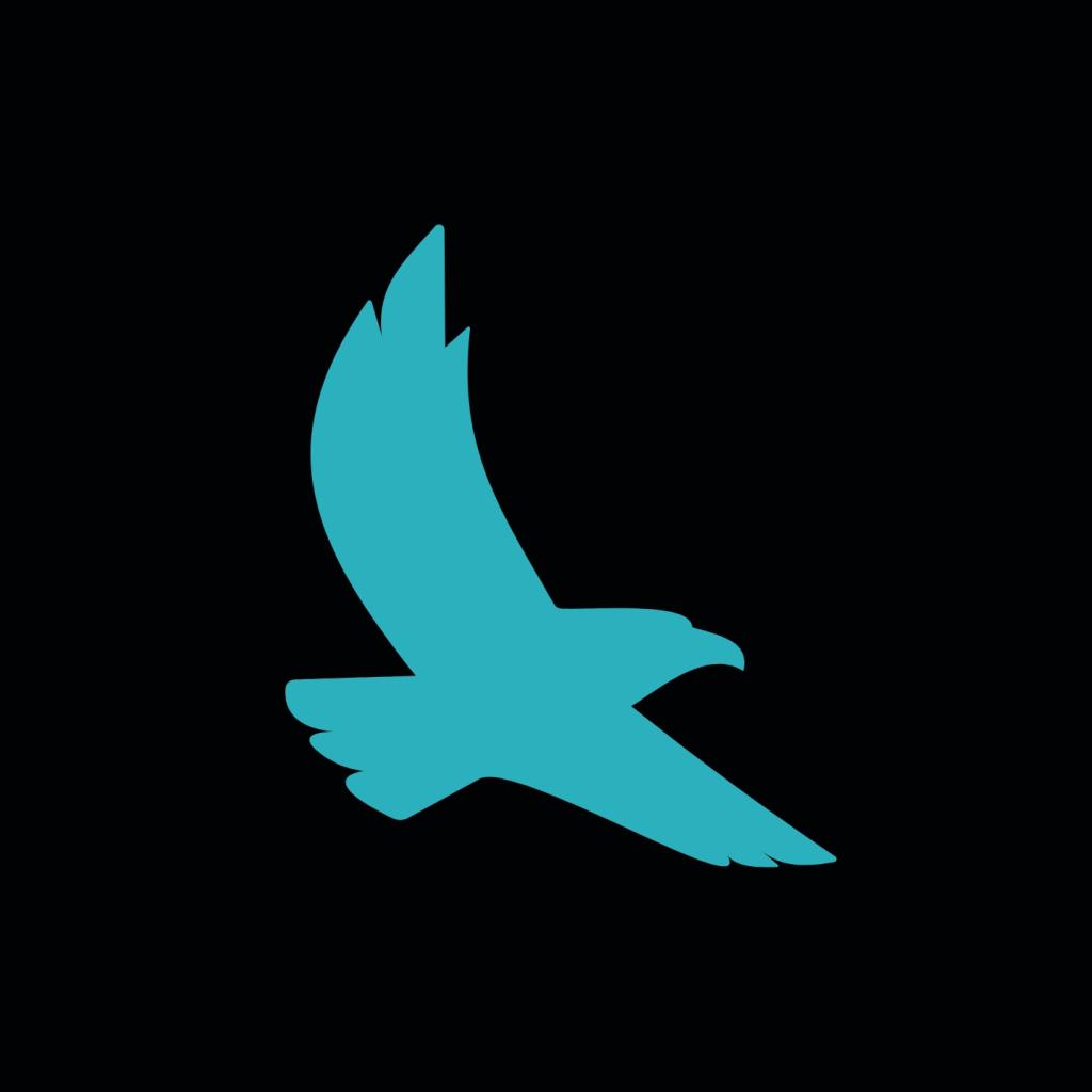 Logo agence Balbuzard